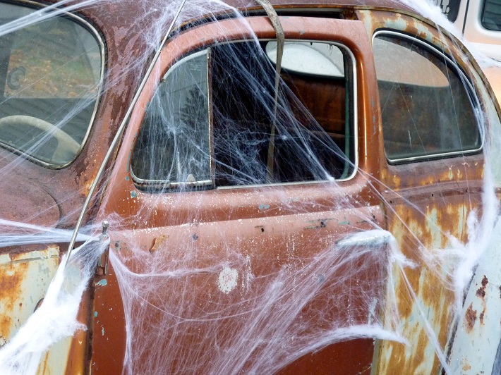 halloween, car, car spider web