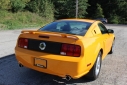 2008 Ford MUSTANG GT PREMIUM COUPE image-3