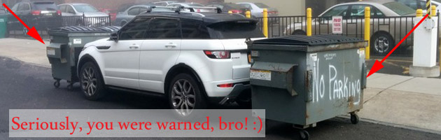 22 Exceptionally Bad Parkers