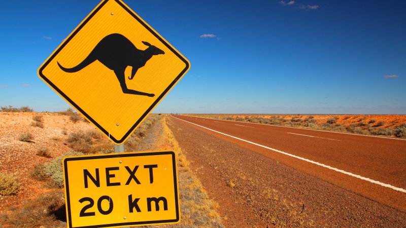 Volvo's self-driving cars are confused by kangaroos