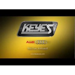 Keyes Audi