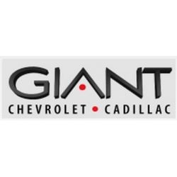 Giant Automotive Group